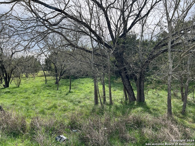Lot 78 Lake Medina Shores Property Photo 4