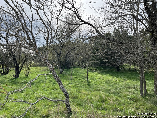 Lot 78 Lake Medina Shores Property Photo 5