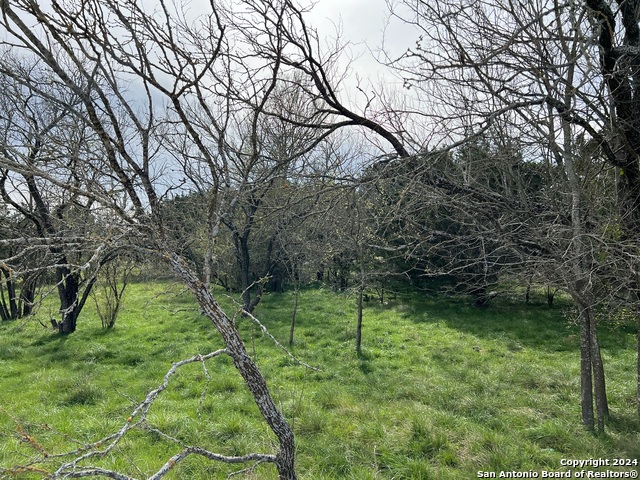 Lot 78 Lake Medina Shores Property Photo 6
