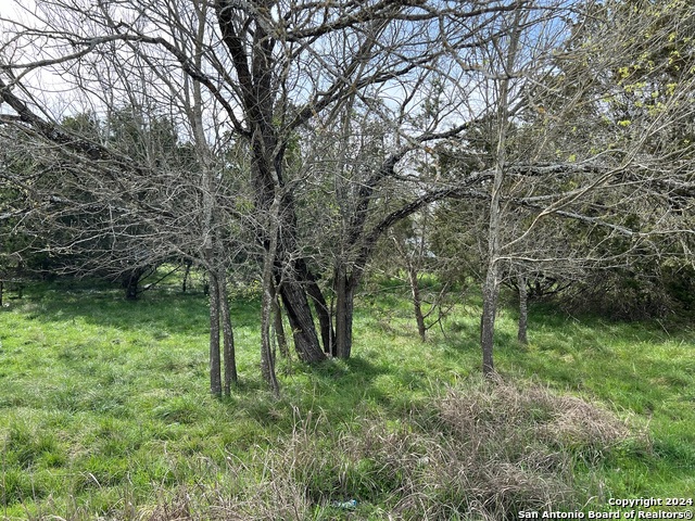 Lot 78 Lake Medina Shores Property Photo 7