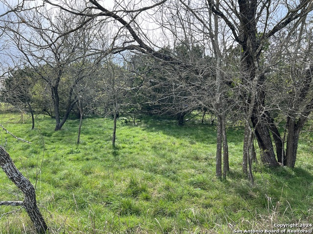 Lot 78 Lake Medina Shores Property Photo 8