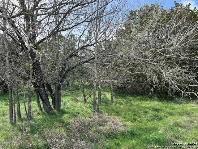 Lot 78 Lake Medina Shores Property Photo 9