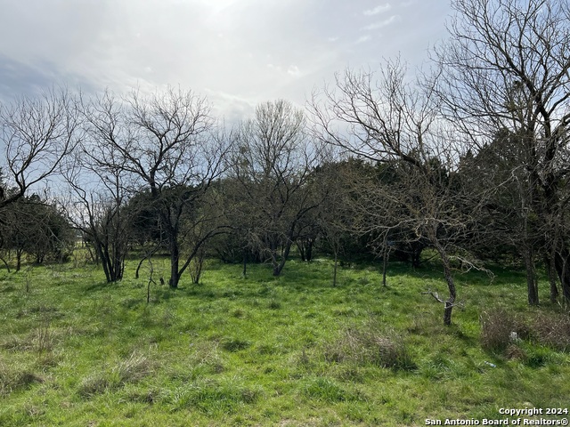 Lot 78 Lake Medina Shores Property Photo 11