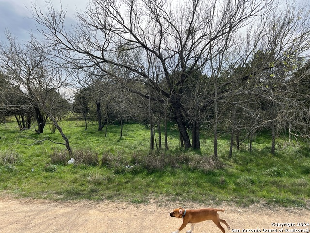 Lot 78 Lake Medina Shores Property Photo 13