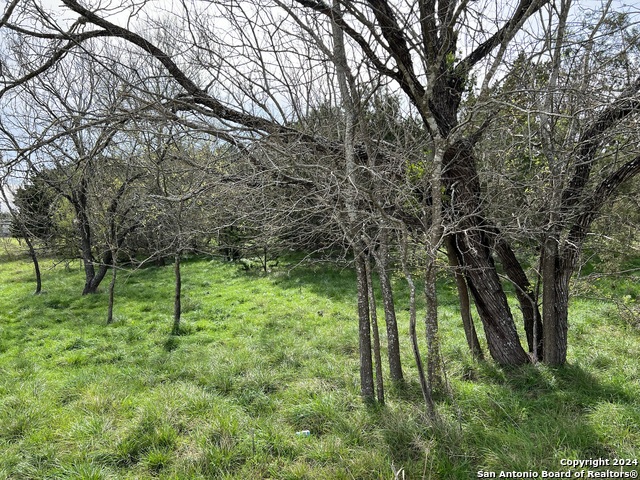Lot 78 Lake Medina Shores Property Photo 15