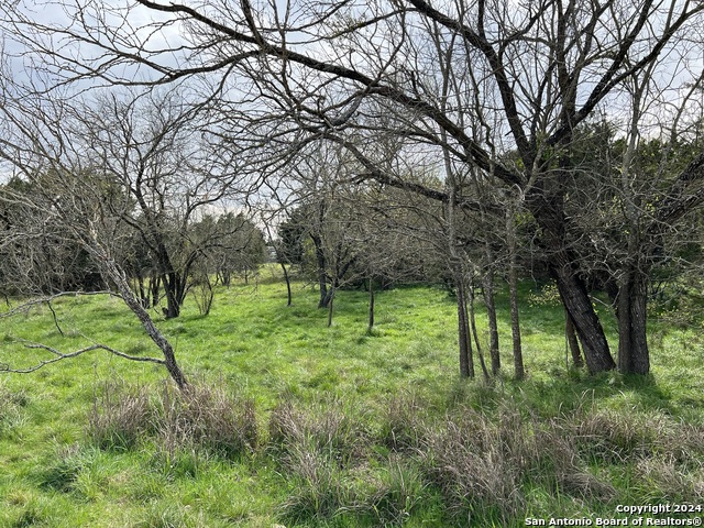 Lot 78 Lake Medina Shores Property Photo 16