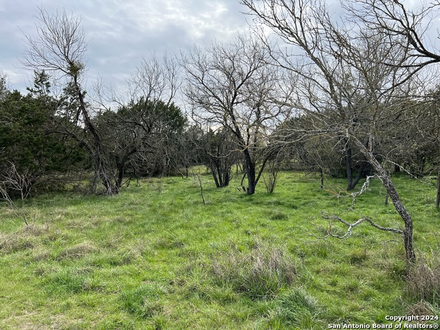 Lot 78 Lake Medina Shores Property Photo 18