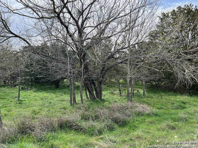 Lot 78 Lake Medina Shores Property Photo 19