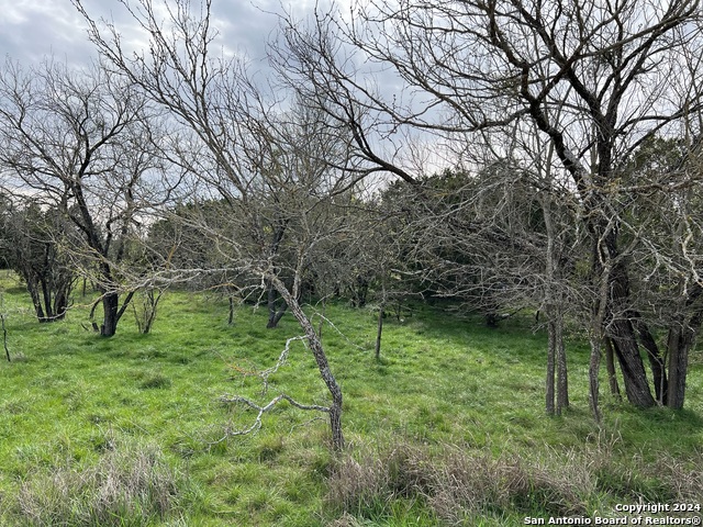 Lot 78 Lake Medina Shores Property Photo 20