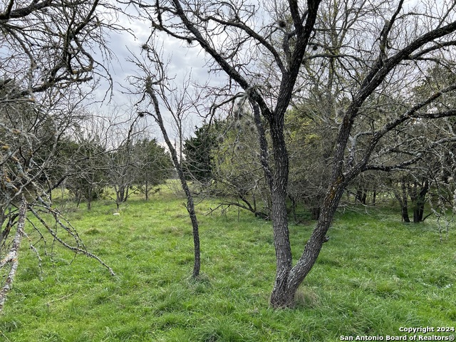 Lot 78 Lake Medina Shores Property Photo 21