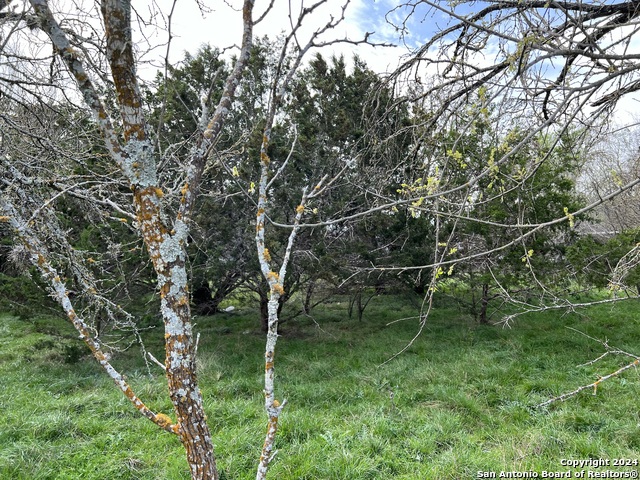 Lot 78 Lake Medina Shores Property Photo 22