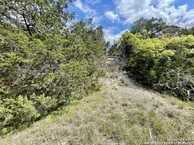 2342 Bobcat Dr Property Photo 8
