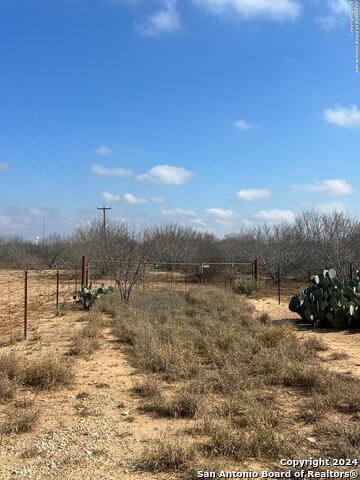 2453 Fm 1917 Property Photo 4