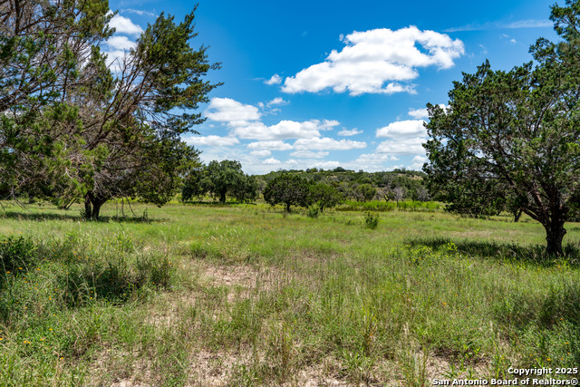 Lot 1 & 3 Hwy 16 S Property Photo 10