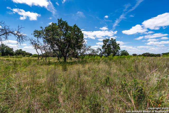 Lot 1 & 3 Hwy 16 S Property Photo 22