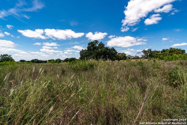 Lot 1 & 3 Hwy 16 S Property Photo 24