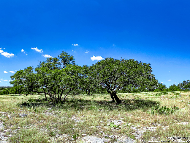Lot 67 Loma Vista Ranch Property Photo 1