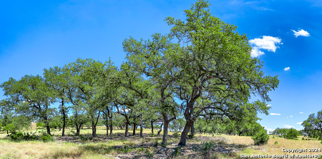 Lot 67 Loma Vista Ranch Property Photo 11