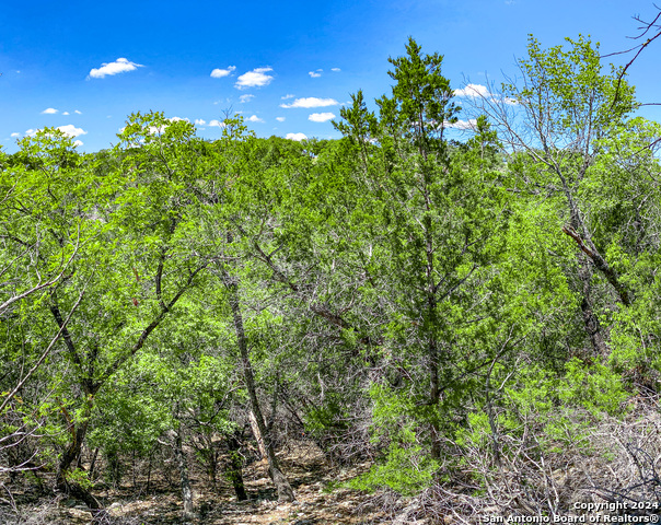 Lot 67 Loma Vista Ranch Property Photo 14