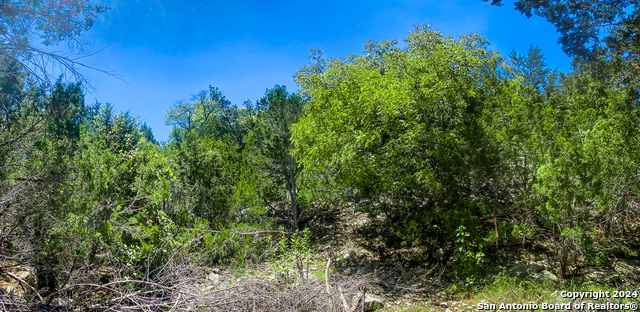 Lot 67 Loma Vista Ranch Property Photo 15