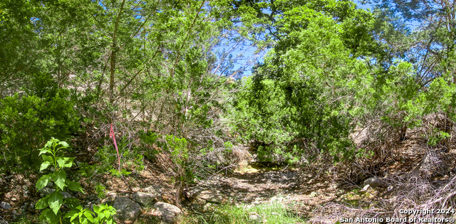 Lot 67 Loma Vista Ranch Property Photo 16