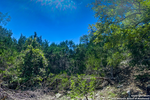 Lot 67 Loma Vista Ranch Property Photo 17