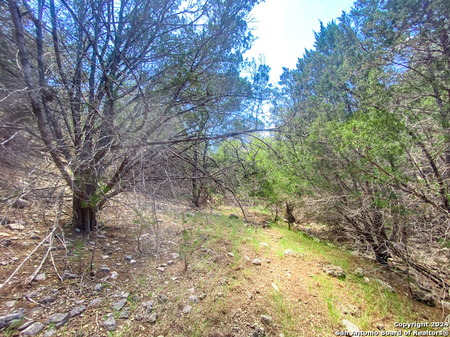 Lot 67 Loma Vista Ranch Property Photo 18