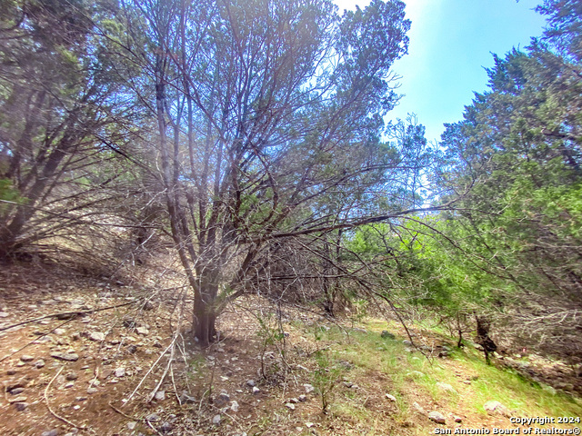 Lot 67 Loma Vista Ranch Property Photo 20