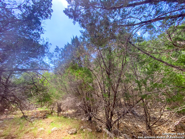 Lot 67 Loma Vista Ranch Property Photo 21