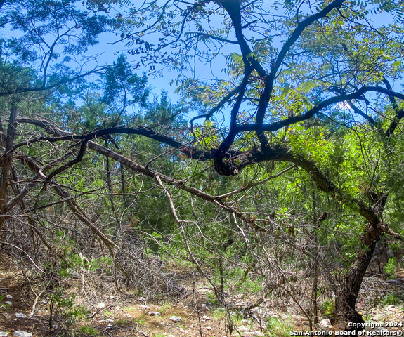 Lot 67 Loma Vista Ranch Property Photo 22