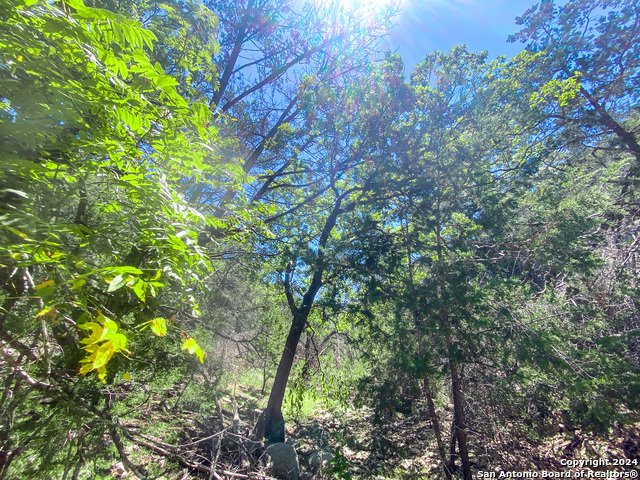Lot 67 Loma Vista Ranch Property Photo 23