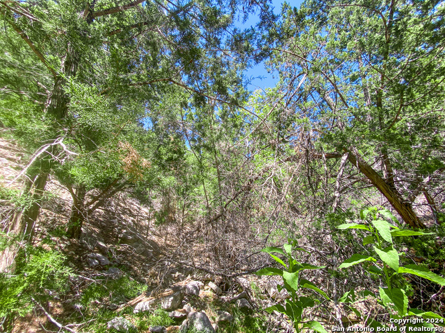 Lot 67 Loma Vista Ranch Property Photo 24
