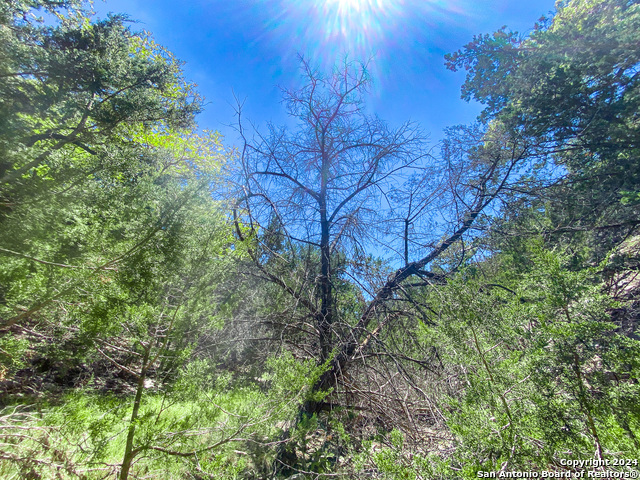 Lot 67 Loma Vista Ranch Property Photo 25