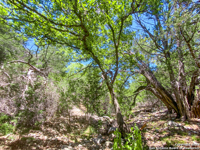 Lot 67 Loma Vista Ranch Property Photo 26