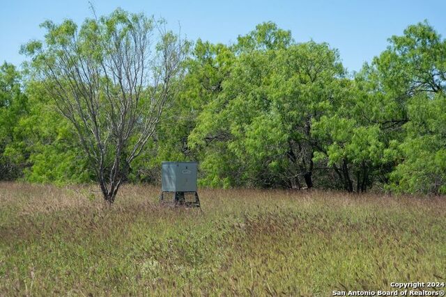 Tract 9 Fm 1332 Property Photo 5