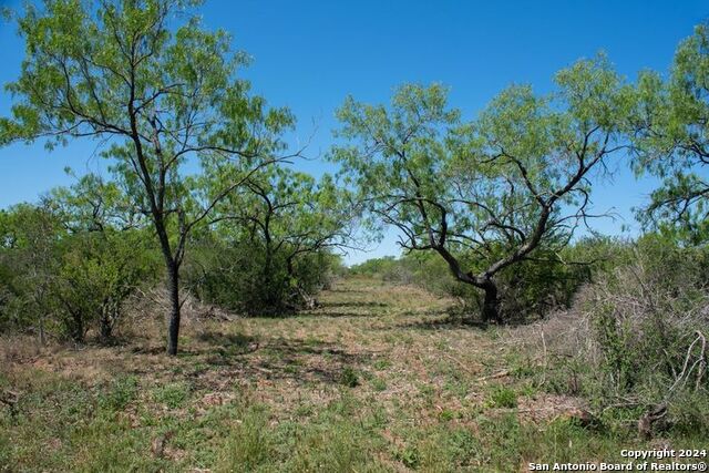Tract 9 Fm 1332 Property Photo 7