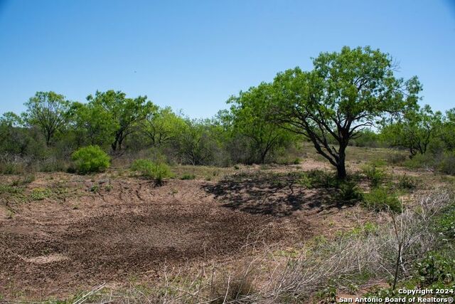 Tract 9 Fm 1332 Property Photo 12