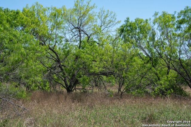 Tract 9 Fm 1332 Property Photo 13