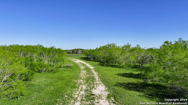 000 County Road 420 Property Photo 1