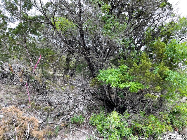 Tbd Georges Rd Property Photo 6