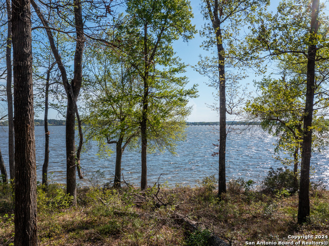 3108 Shadow Pine Drive Property Photo 1