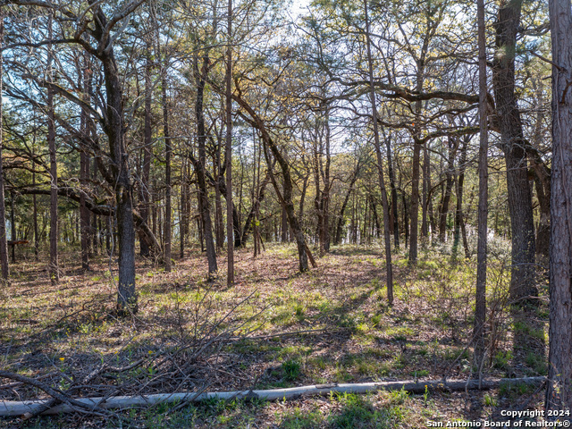 3104 Shadow Pine Drive Property Photo 8