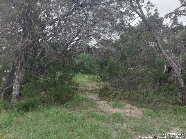 1253 Ramble Hills Property Photo 1