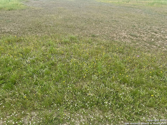 352 Spring Creek Cir Property Photo 5