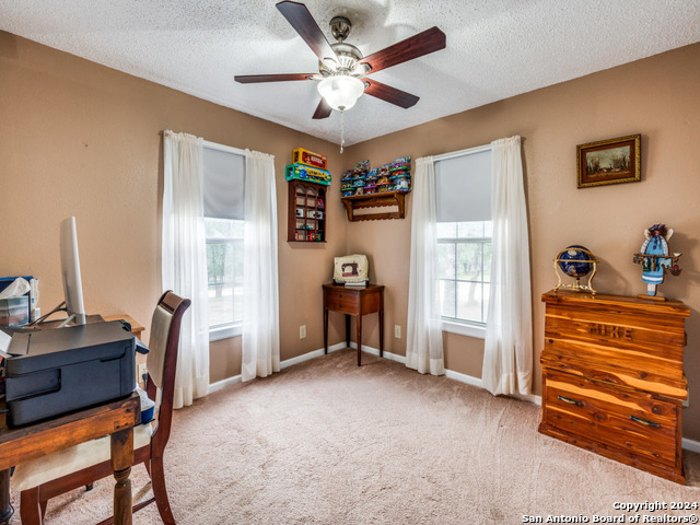 1004 Bluebonnet Ln Property Photo 20