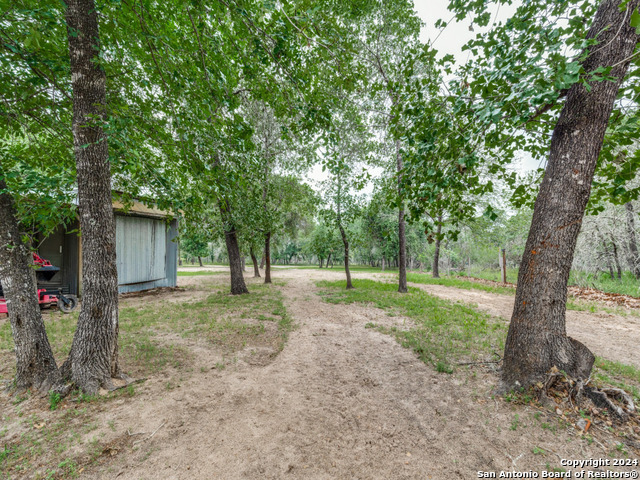 1004 Bluebonnet Ln Property Photo 32