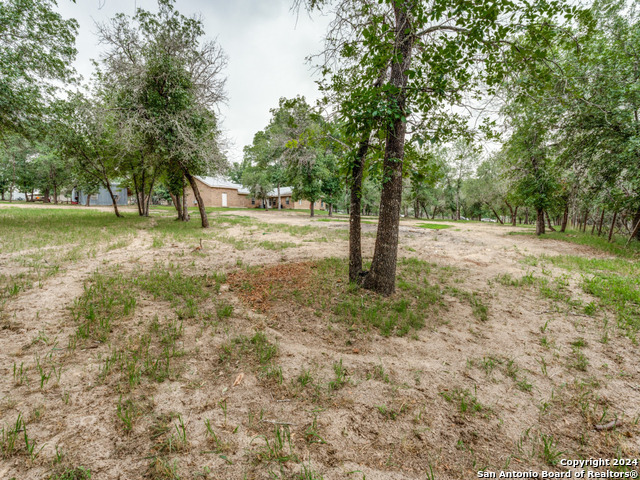 1004 Bluebonnet Ln Property Photo 34