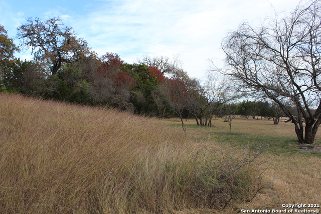 175 Pine Tree Rd Property Photo 34