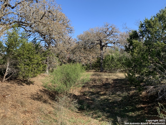 175 Pine Tree Rd Property Photo 35