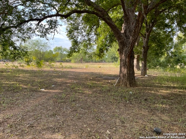 1715 S Loop 1604 E Property Photo 2